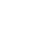 icon distributors