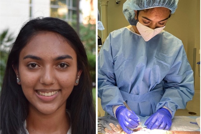 Intern Spotlight - Nisha Kotta
